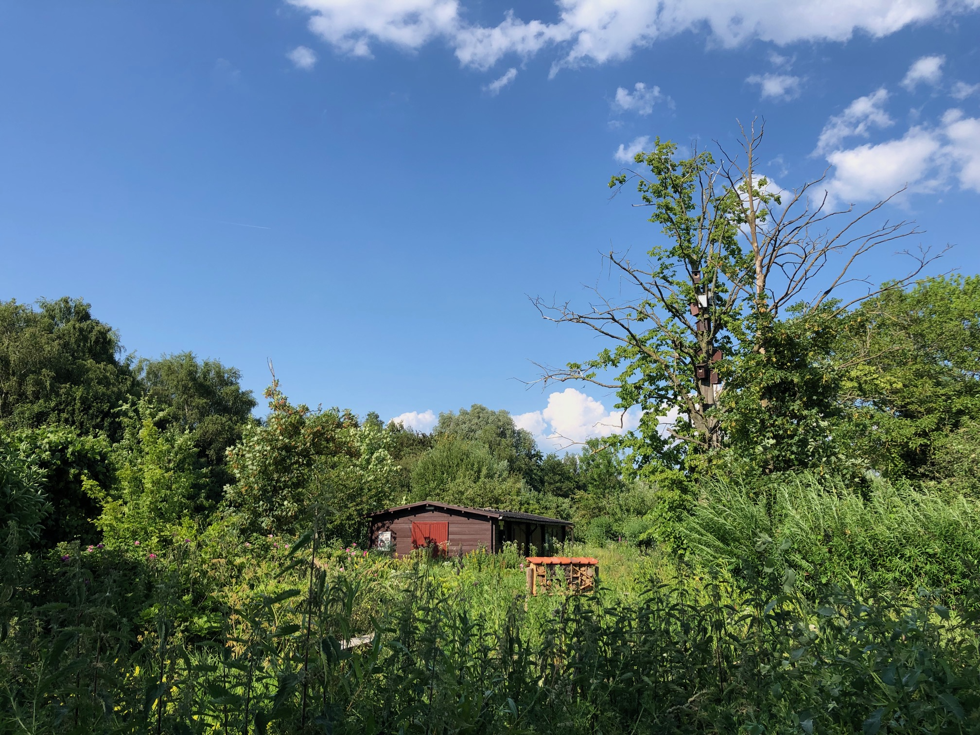 De Ruige Hof, natuurvereniging